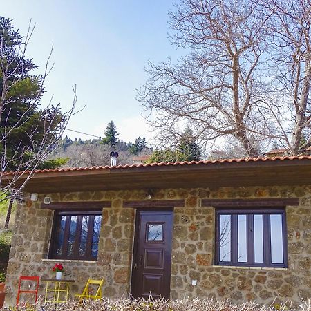 Γήλοφος Βίλα Άνω Τρίκαλα Εξωτερικό φωτογραφία