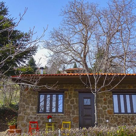 Γήλοφος Βίλα Άνω Τρίκαλα Εξωτερικό φωτογραφία